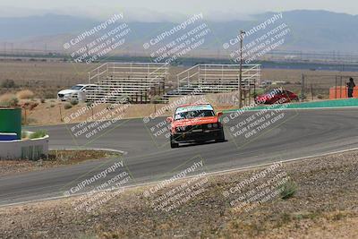 media/May-03-2025-Lucky Dog Racing (Sat) [[206de64b9d]]/Turn 4 B (1150am-130pm)/